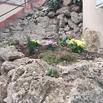 Nemo